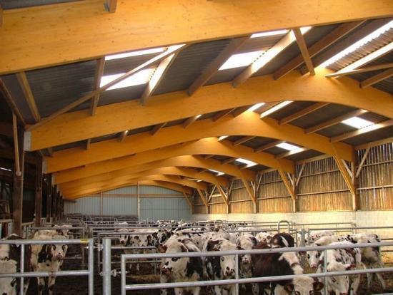 Construction de charpente agricole solide Saint-Martin-le-Bouillant